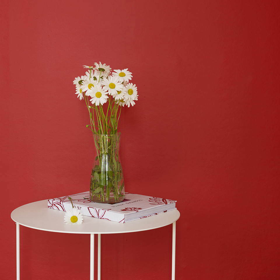 Korallrev FR1186 960.jpg