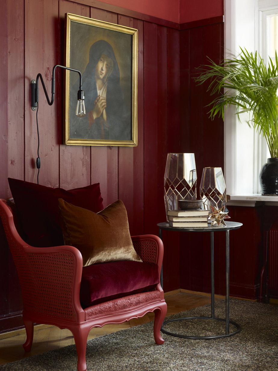 Myke Nyanser Kastanjenøtt FR 1332.jpg