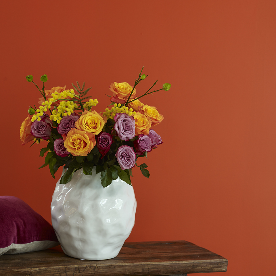 Paradis FR1165 960.jpg