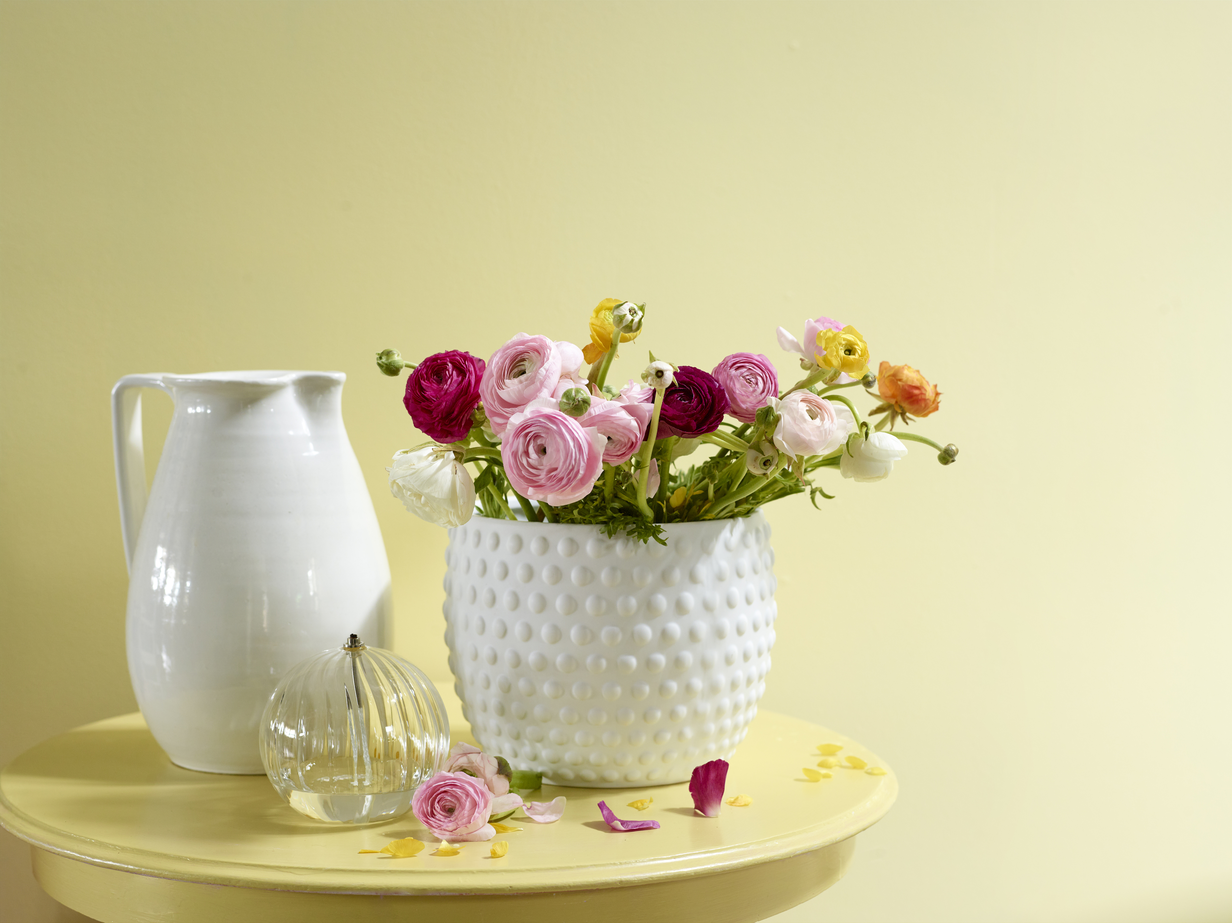 FR2276 Vårtegn 09.jpg