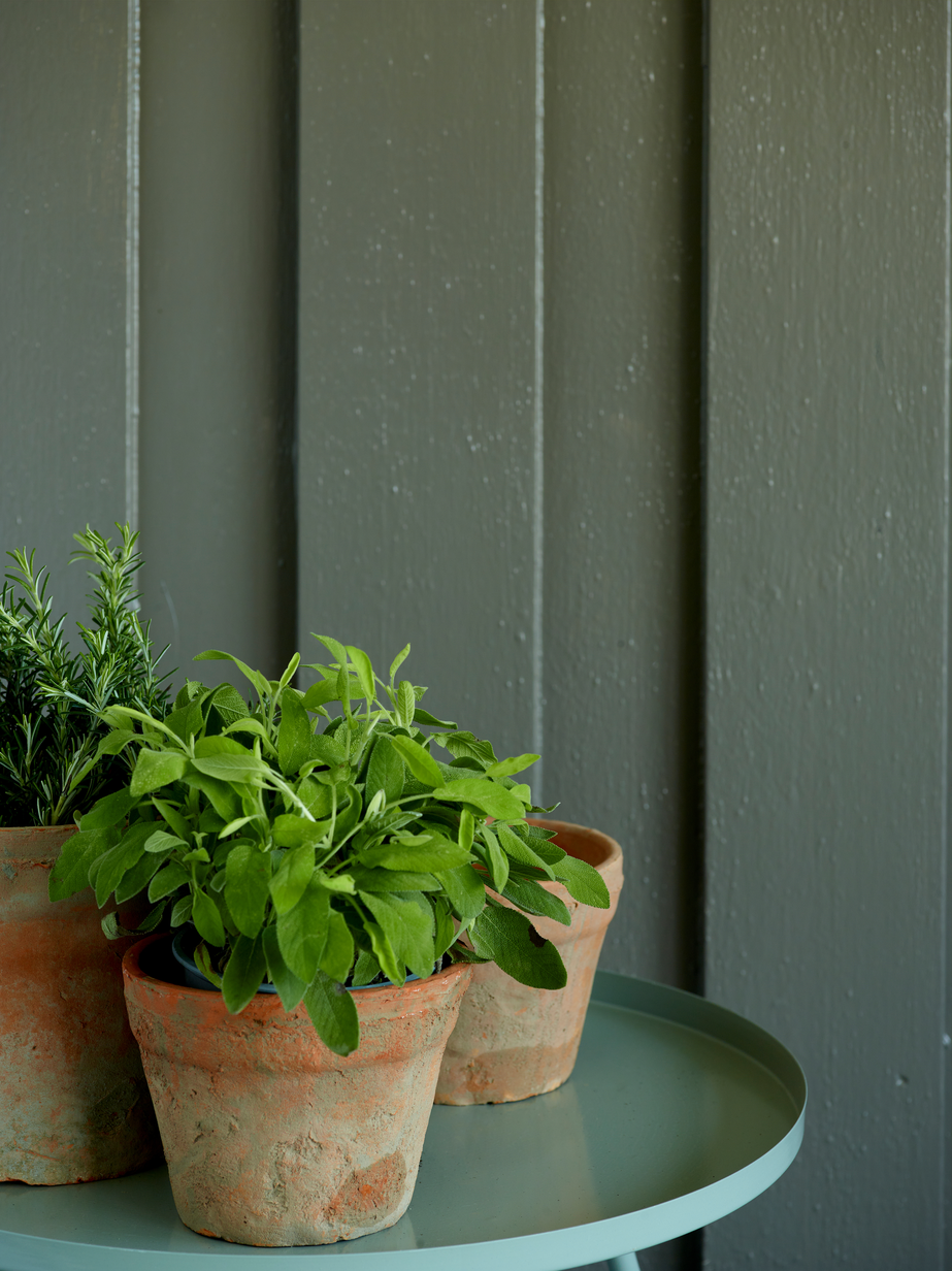 Grå Tyfon FR6225[1].jpg