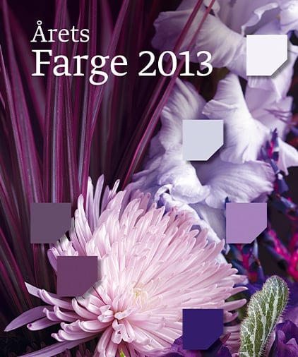 Fargekart årets farge 2013