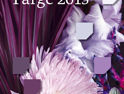 Fargekart årets farge 2013