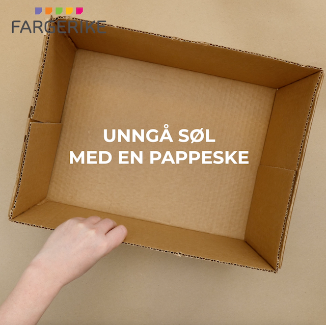 Bilde av en passelig pappeske for vannkokeren som spraymales i eksempelet