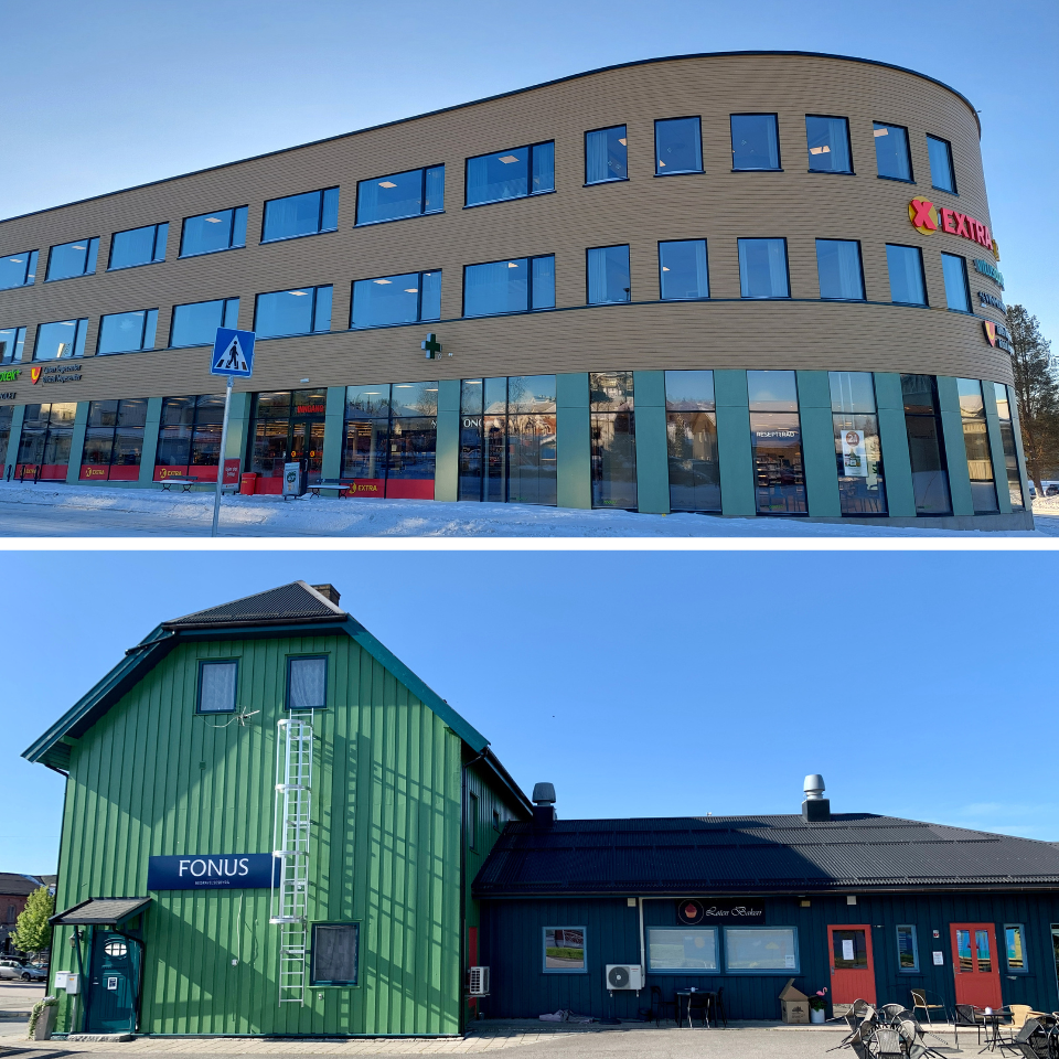 Edvard Munch Grønn Løten