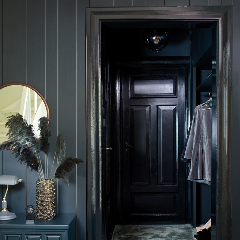 Nattseilas glans maling