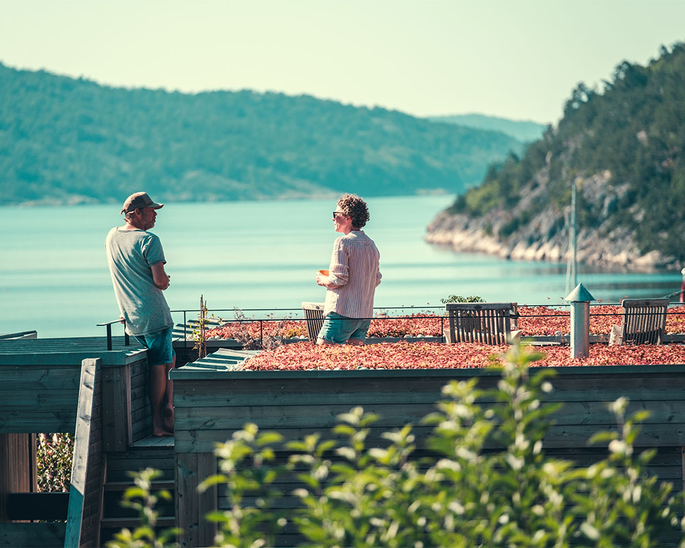 Sommerhytte takterrasse