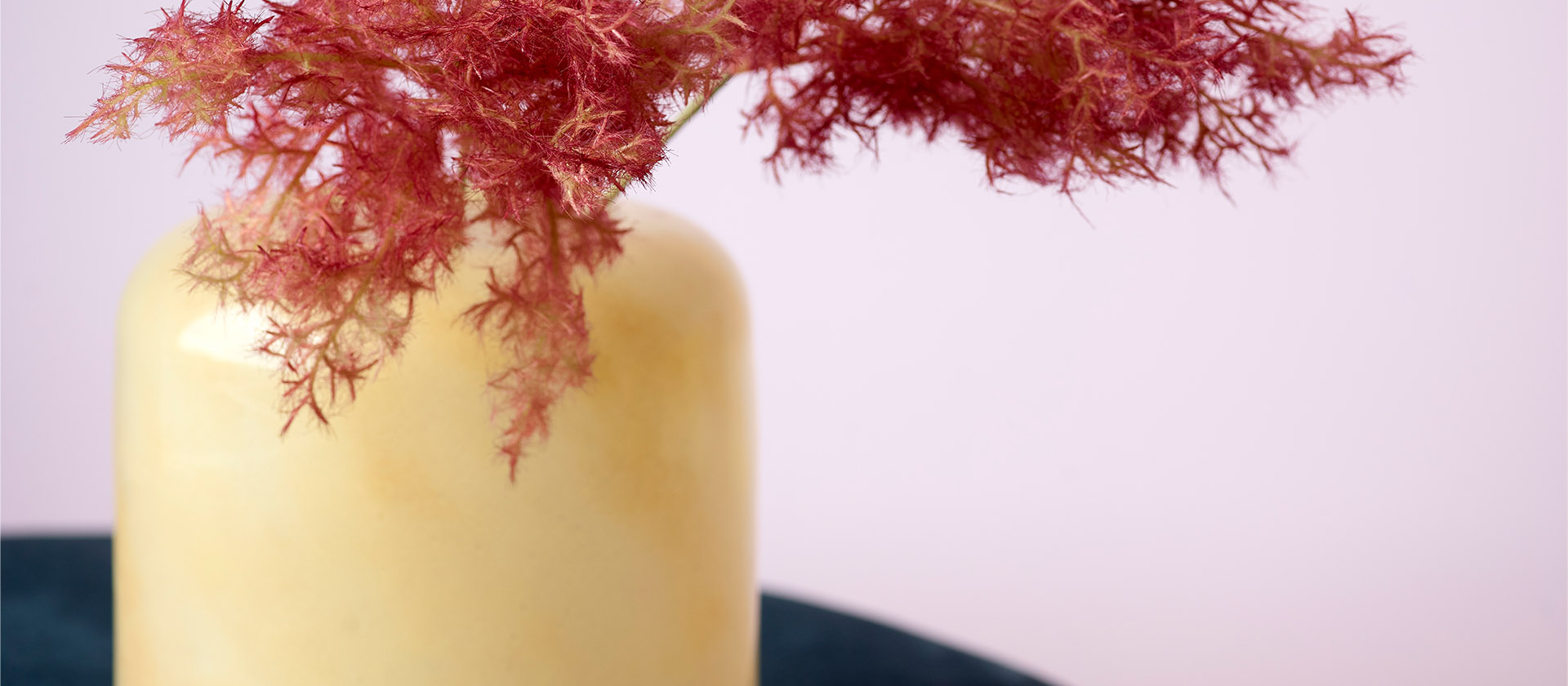 Kirsebærblomst rosa farge