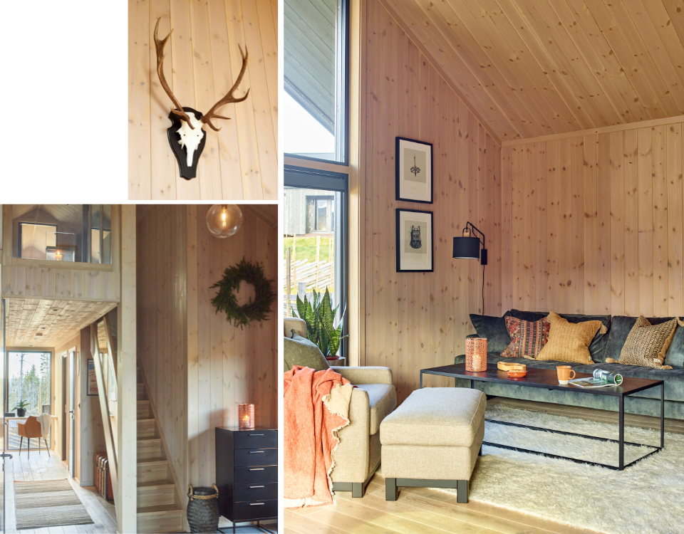 Stue hytte skeikampen