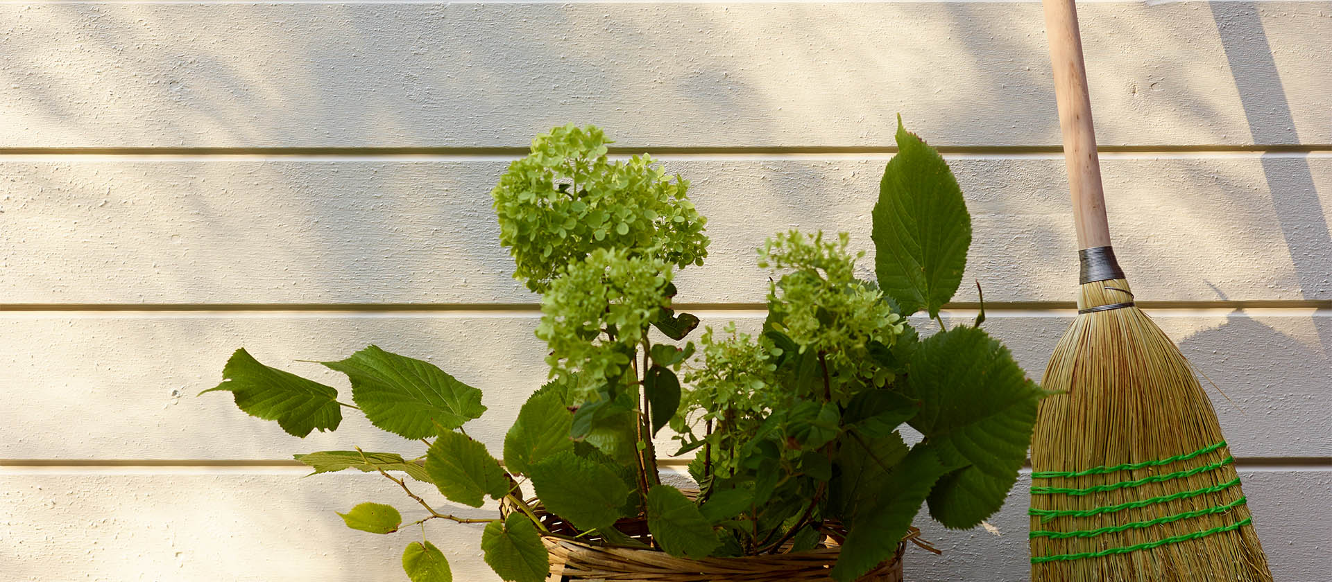 Fargetrender hus 2022