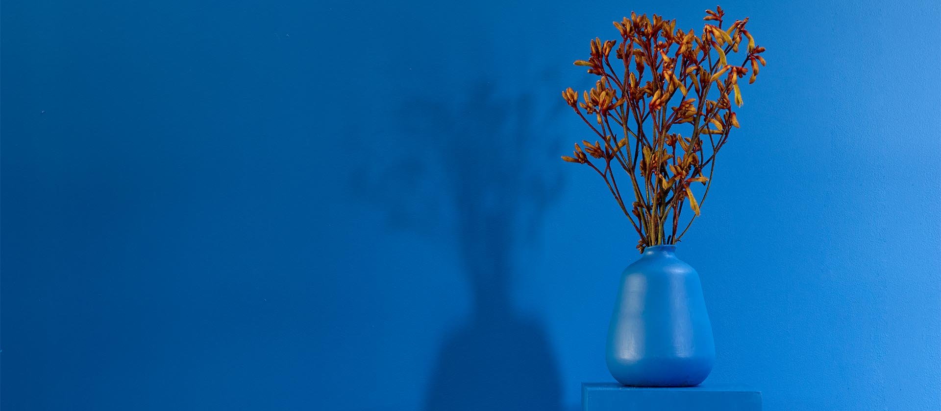 Blånedslag elektrisk blå