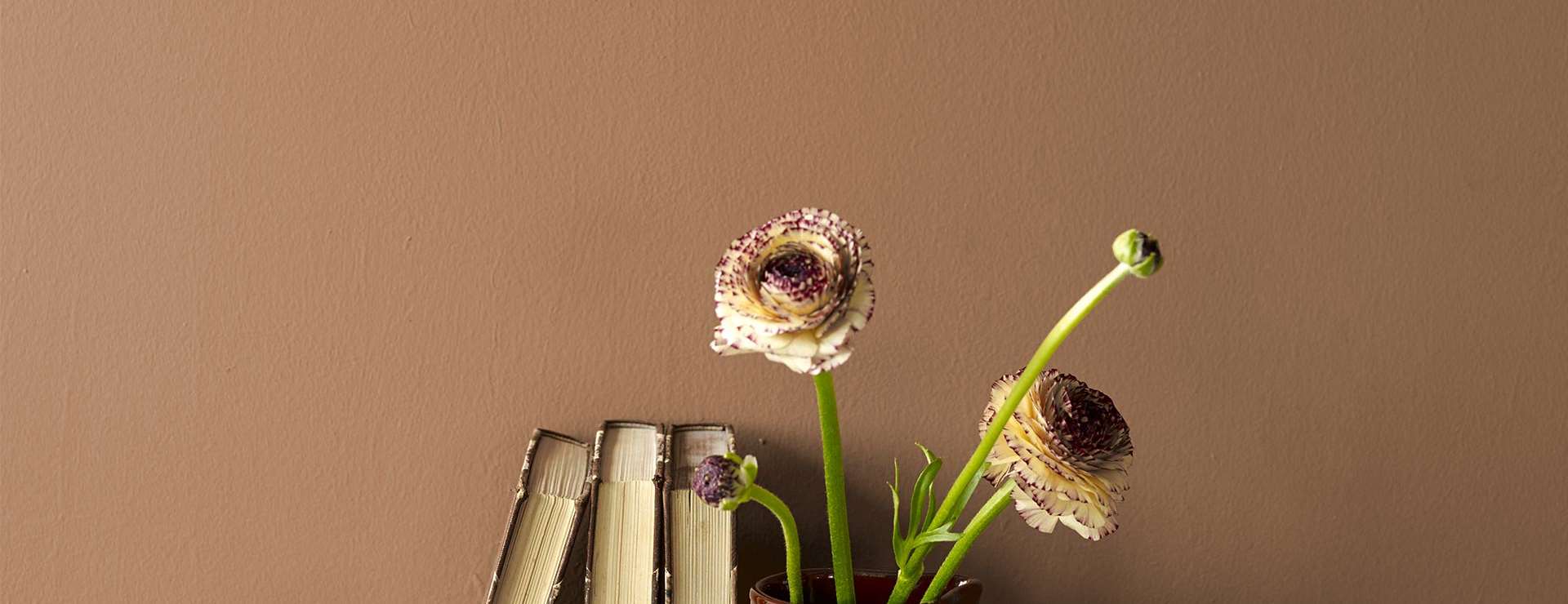 Stuevegg i den varme fargen Café.