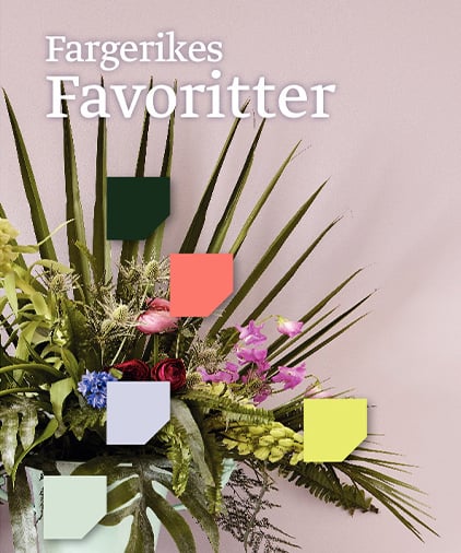 Fargekart fargerikes favoritter