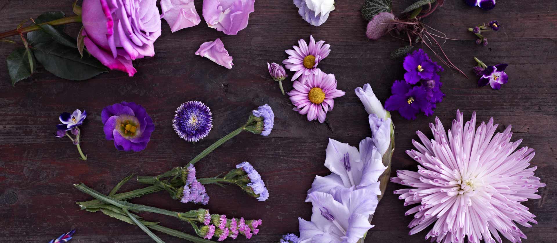 Blomster i årets farge 2013 - lilla