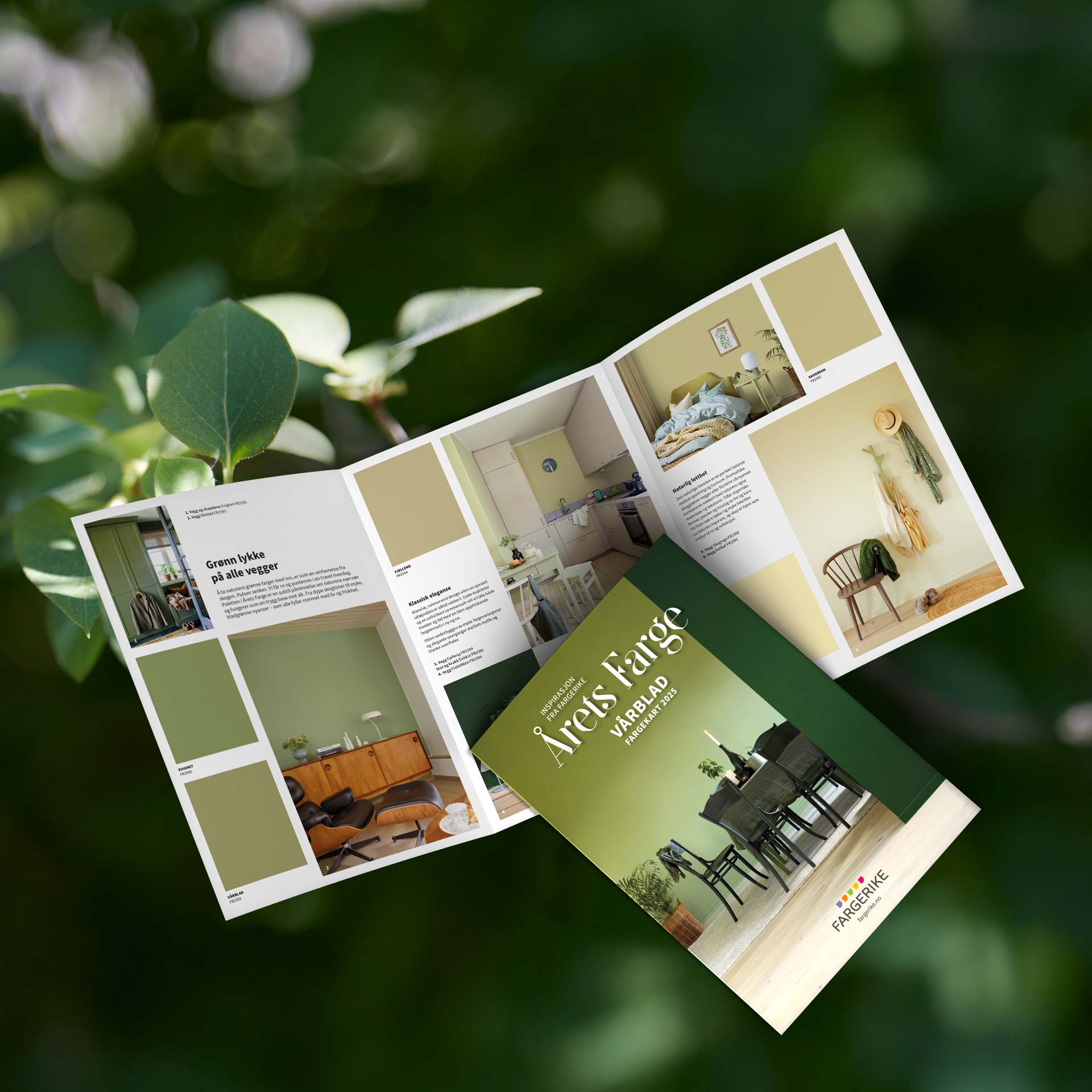 Fargekart Årets Farge 2025