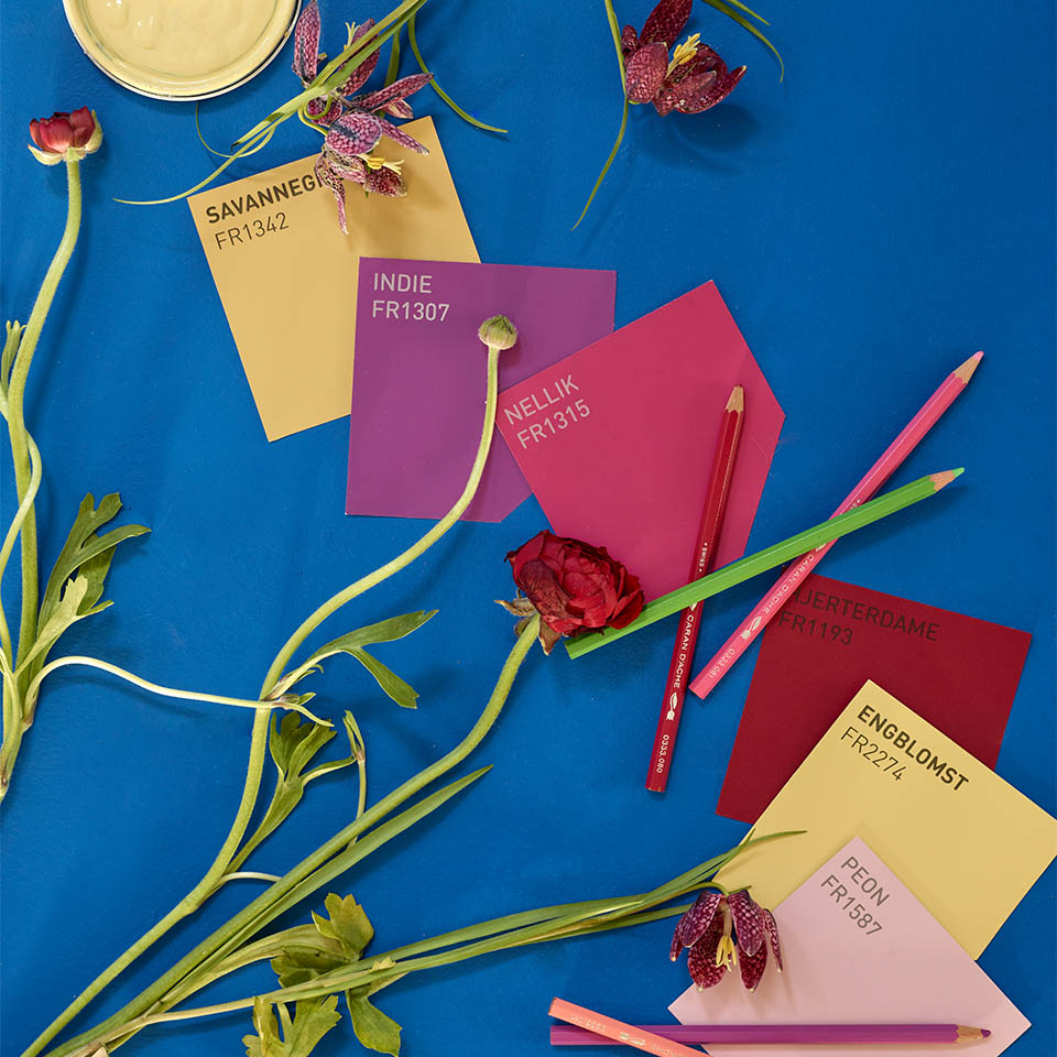 Blå og rosa fargekombinajon