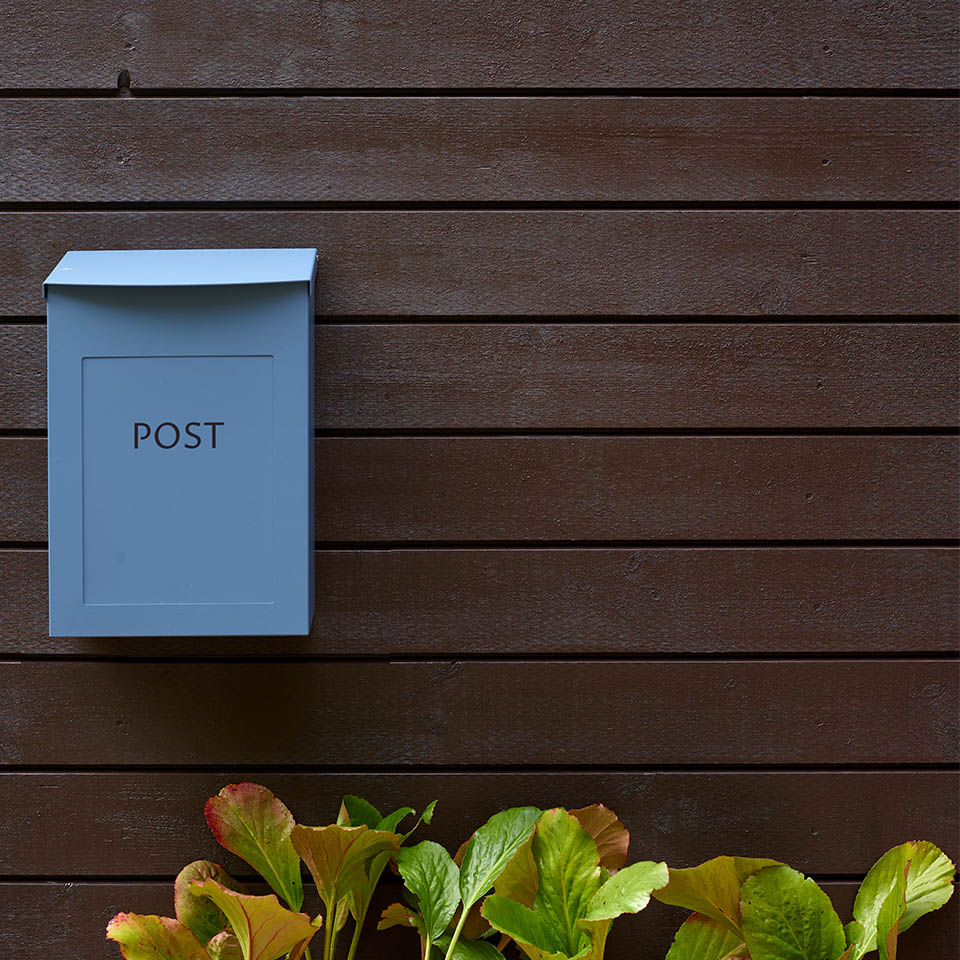 Brunbjørn brun husfarge