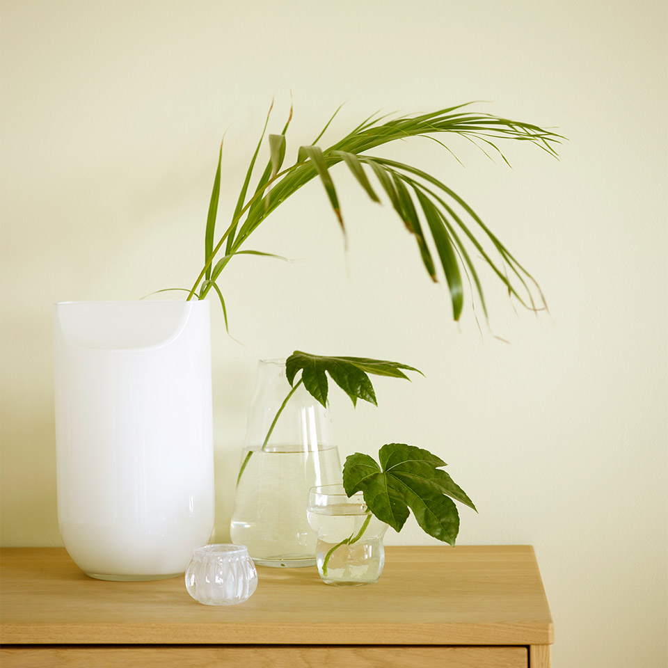 Delikat grønn veggfarge