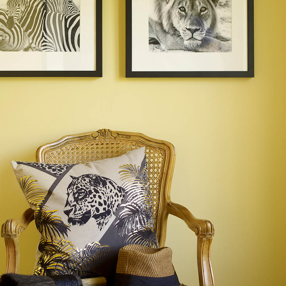 Årets farge 2022 Eksotisk