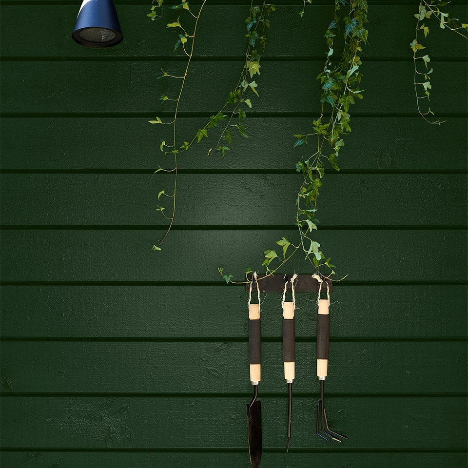 Mørke grønn husfarge