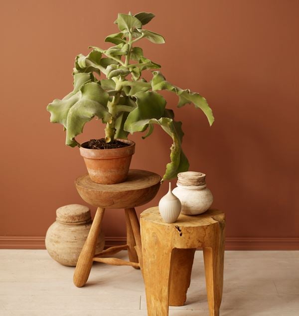 Rustikk terracotta JOTUN 2771 | Fargerike