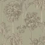 Storeys Oasis 317324