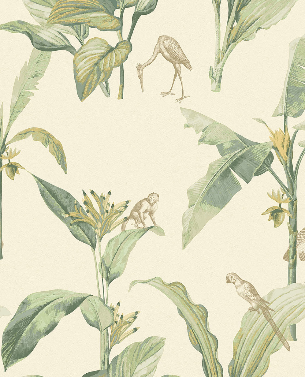 Storeys Oasis 317340