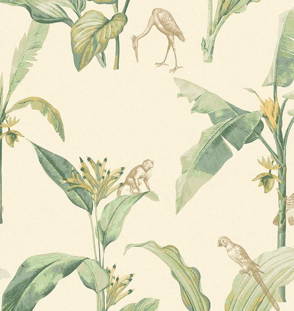 Storeys Oasis 317340