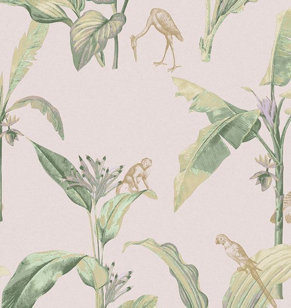 Storeys Oasis 317342