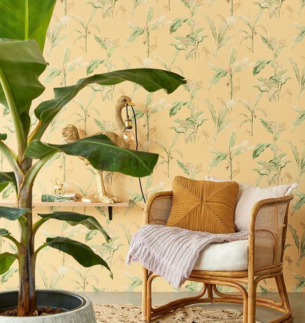 Storeys Oasis 317343