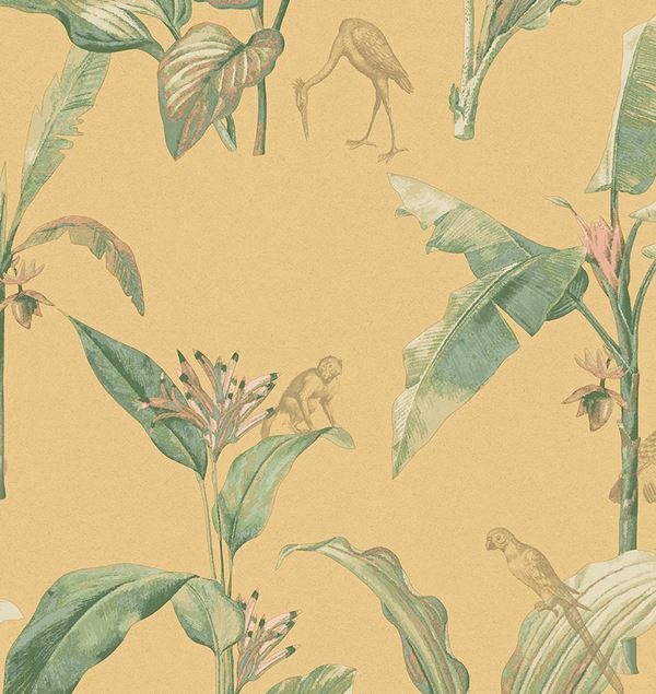 Storeys Oasis 317343