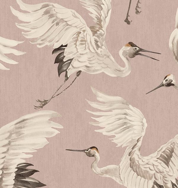 Storeys Oasis 317352