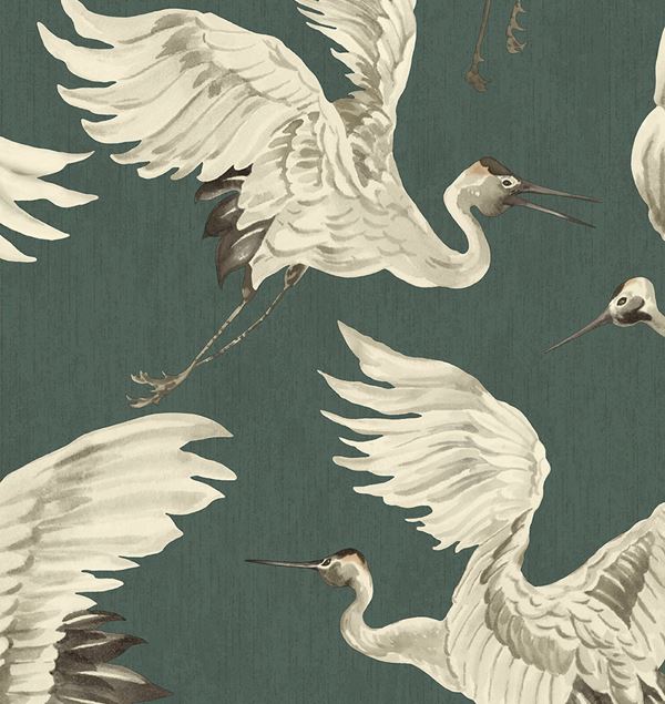 Storeys Oasis 317355