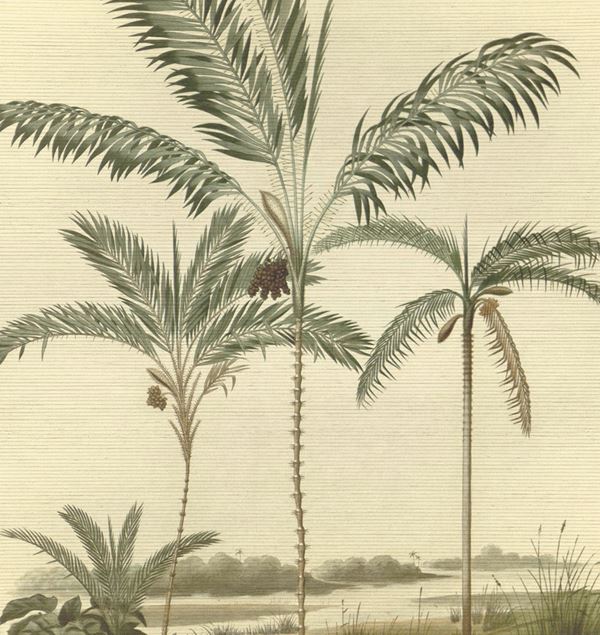 Storeys Oasis 317406