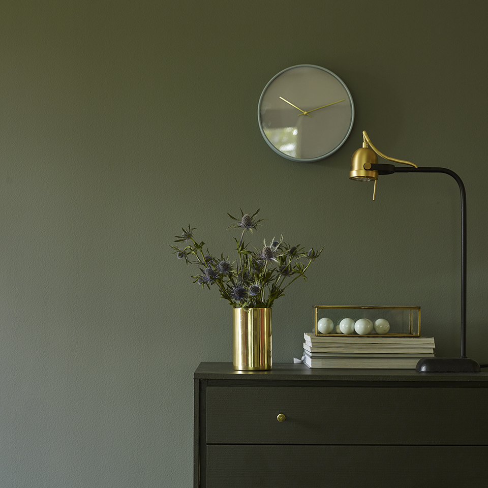 Agave FR1215 960.jpg