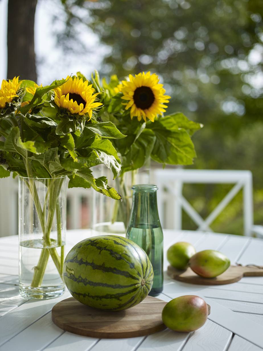 ALMDAL FR210017[1].jpg