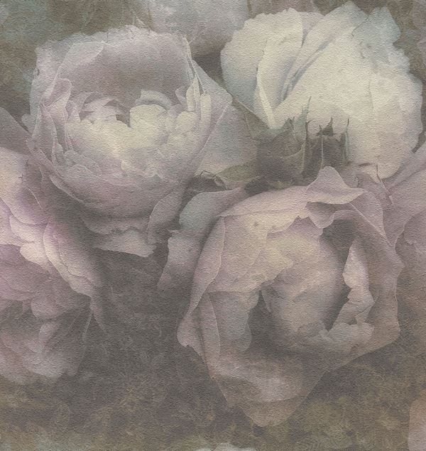 Storeys New Walls 373921