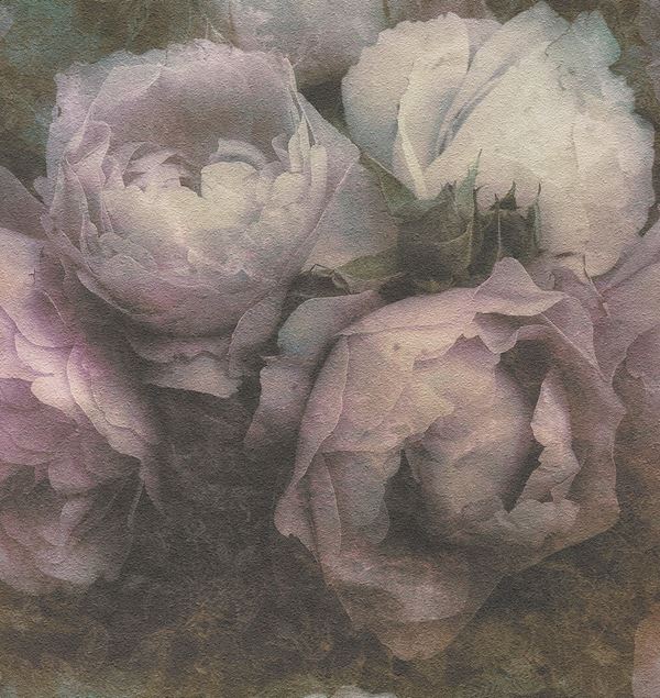 Storeys New Walls 373922