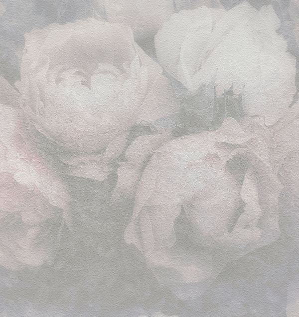 Storeys New Walls 373923