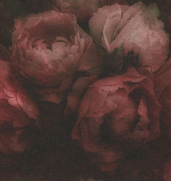 Storeys New Walls 373924