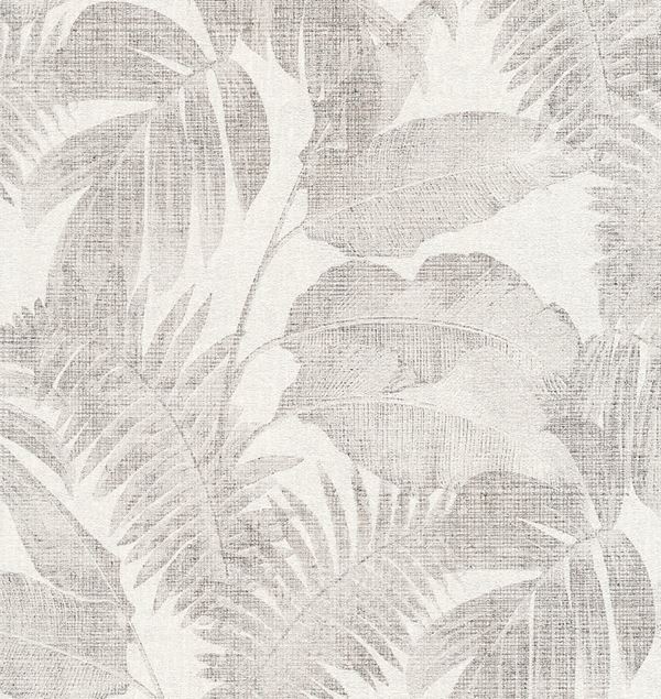 Storeys New Walls 373962