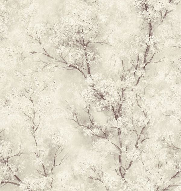 Storeys New Walls 374202