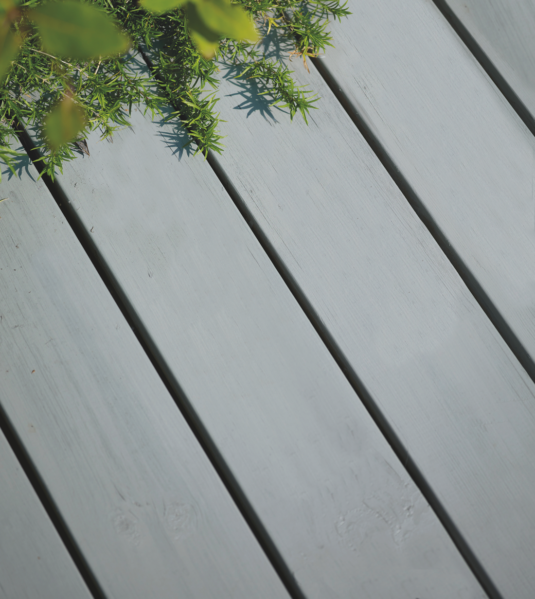 ASPNES FR210029[4].jpg