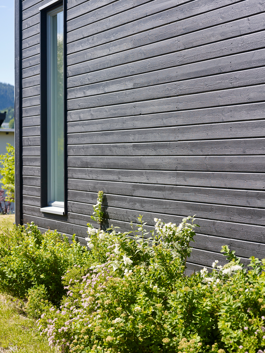 Balanse FR6185[2].jpg