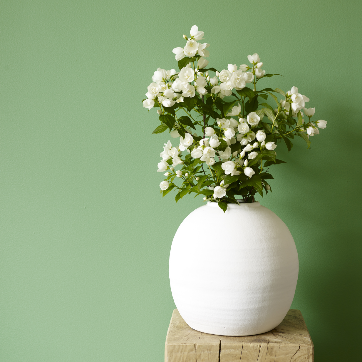 Bregne FR1035 960.jpg