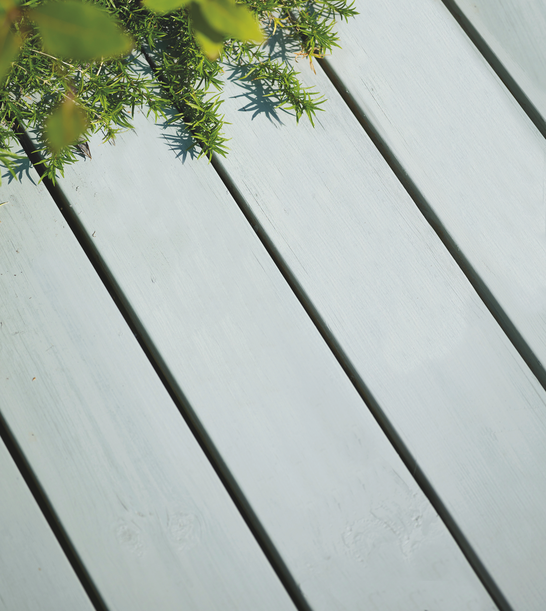 DUNBJØRK FR210021.jpg