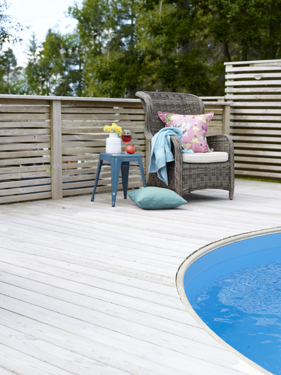 DUNBJØRK FR210021[2].jpg