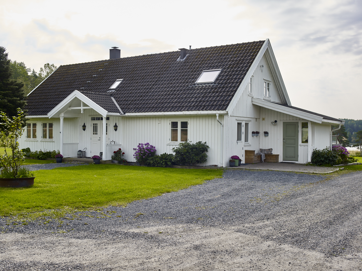 Egghvit FR2010[2].jpg