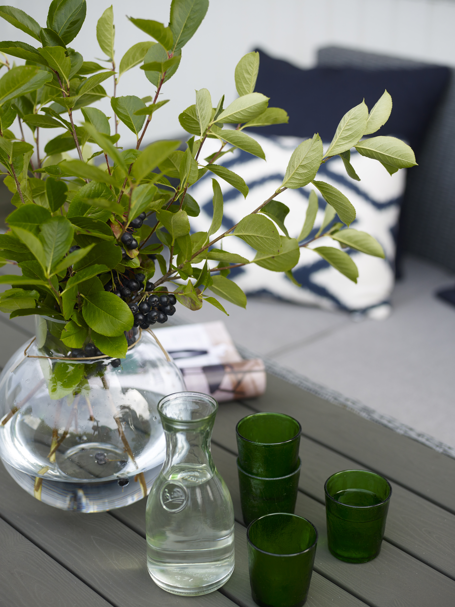 Egghvit FR2010[5].jpg