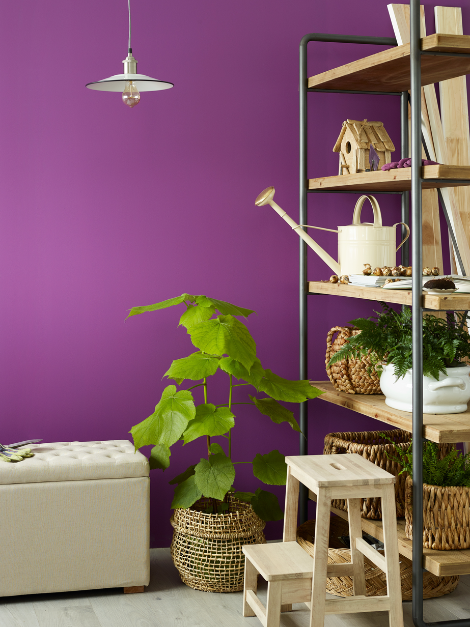 Egraf#7-Indie FR1307.jpg